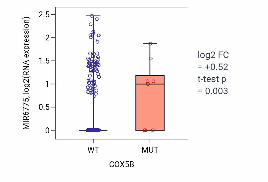 Box plot of MIR6775 in COX5B-low vs COX5B-high samples in UCEC.