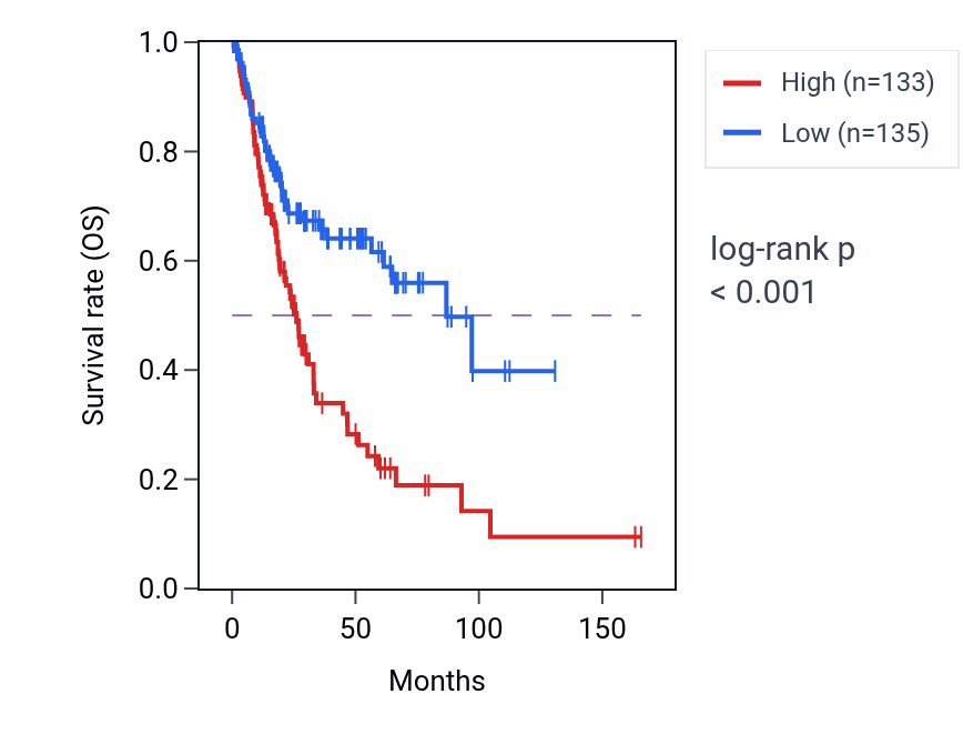 Kaplan&ndash;Meier survival curve for CPE RNA expression in BLCA: high vs low expression groups.