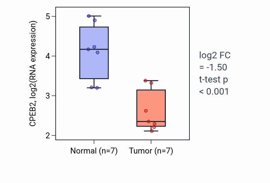 Tumor-vs-normal expression box plot for CPEB2 in BLCA.
