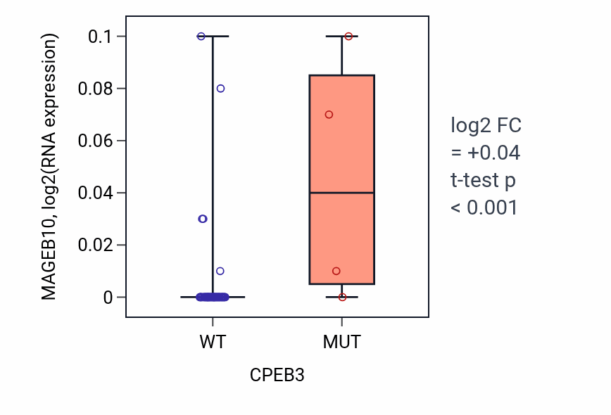 Box plot of MAGEB10 in CPEB3-low vs CPEB3-high samples in OVARY.