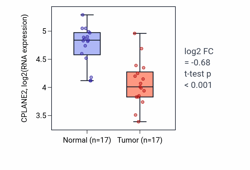 Tumor-vs-normal expression box plot for CPLANE2 in THCA.