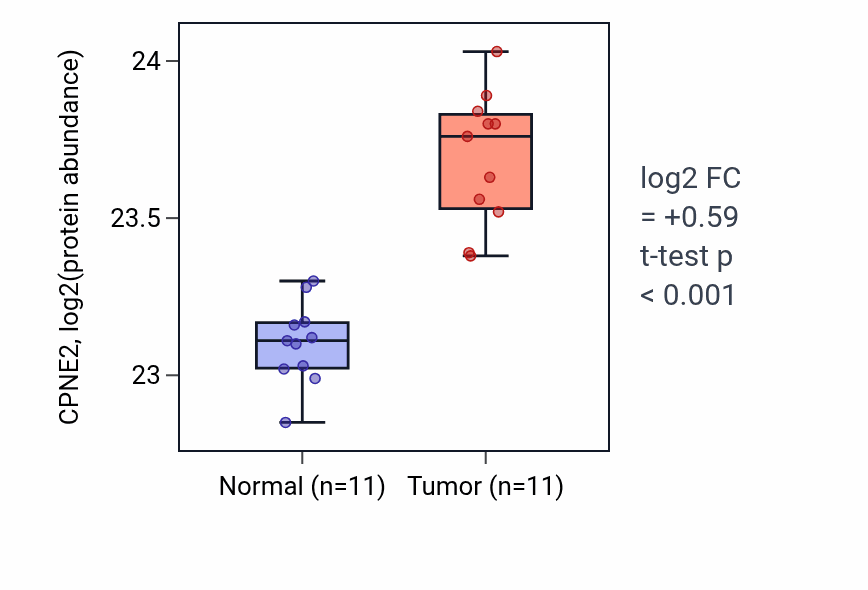 Tumor-vs-normal mass-spec protein box plot for CPNE2 in CCRCC.