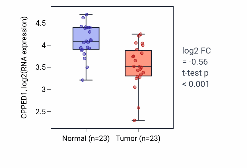 Tumor-vs-normal expression box plot for CPPED1 in THCA.