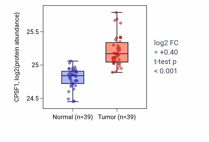 Tumor-vs-normal mass-spec protein box plot for CPSF1 in HNSC.