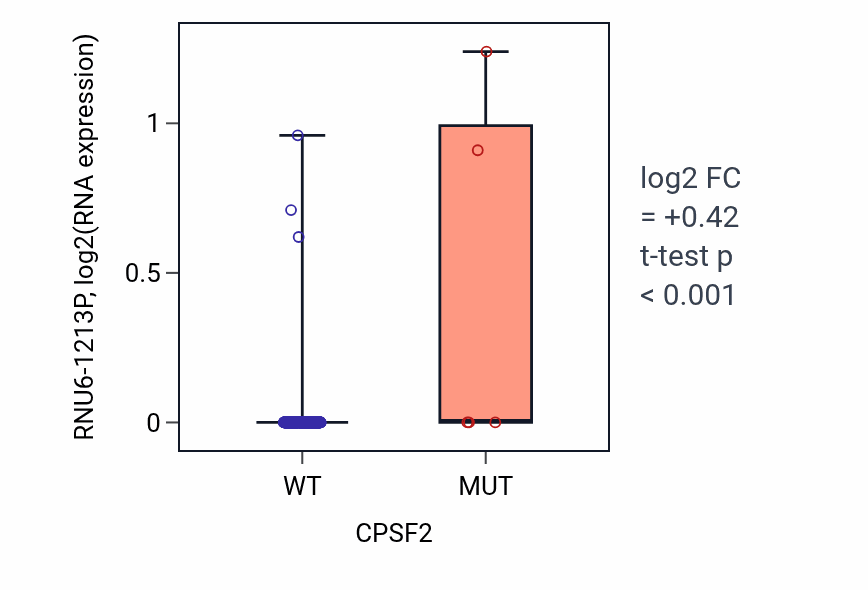 Box plot of RNU6-1213P in CPSF2-low vs CPSF2-high samples in BLCA.