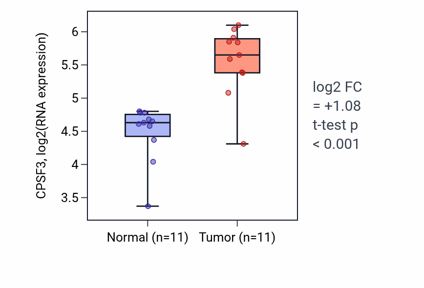 Tumor-vs-normal expression box plot for CPSF3 in HNSC.