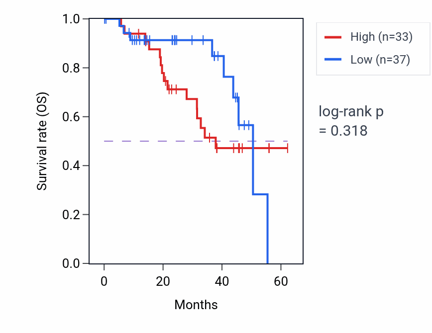 Kaplan&ndash;Meier survival curve for CPSF7 mass-spec protein-high vs -low samples in HNSC.