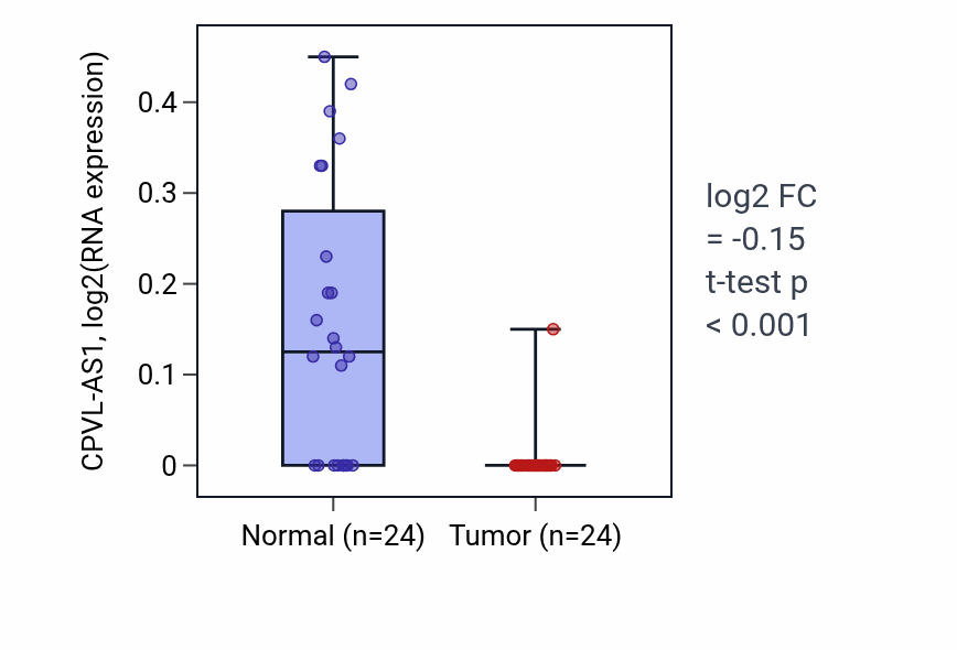 Tumor-vs-normal expression box plot for CPVL-AS1 in KIRC.