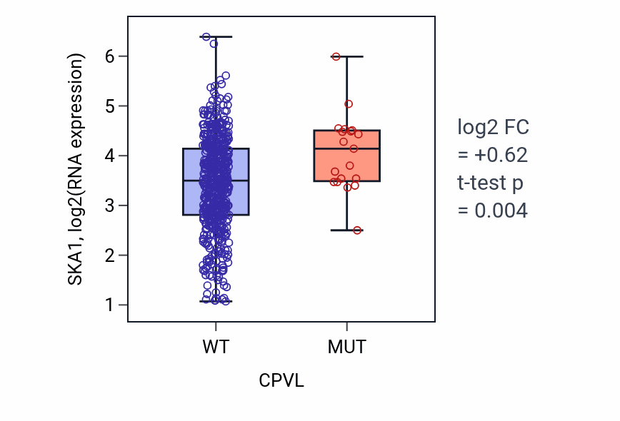 Box plot of SKA1 in CPVL-low vs CPVL-high samples in UCEC.