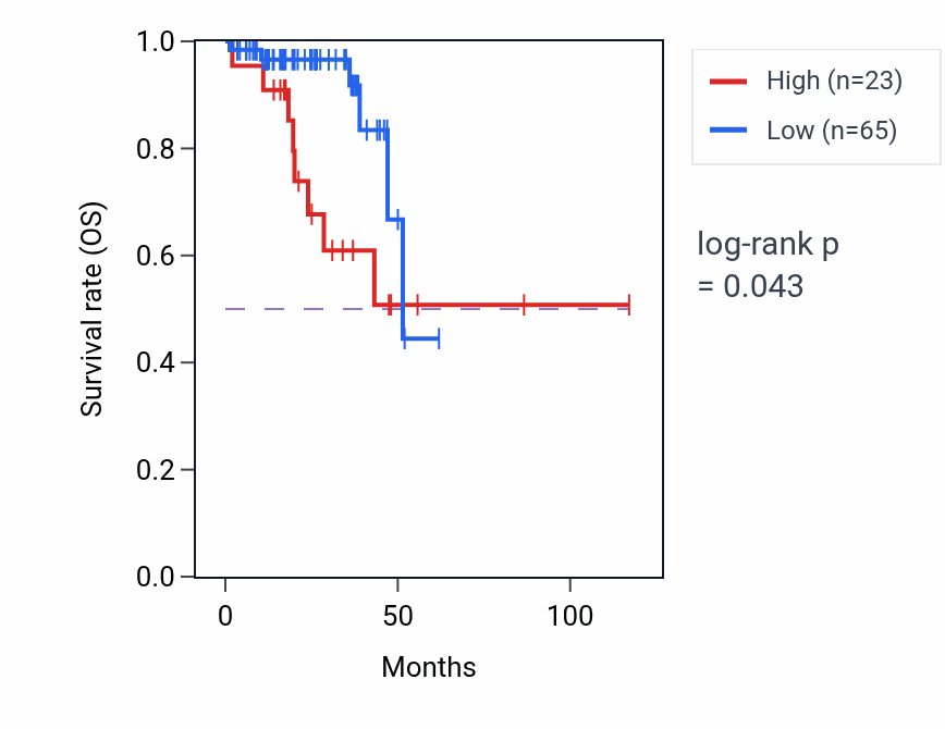 Kaplan&ndash;Meier survival curve for CREB3L2-AS1 RNA expression in READ: high vs low expression groups.