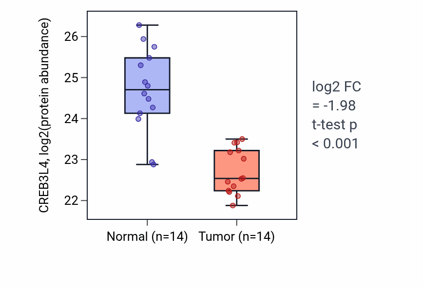 Tumor-vs-normal mass-spec protein box plot for CREB3L4 in LSCC.