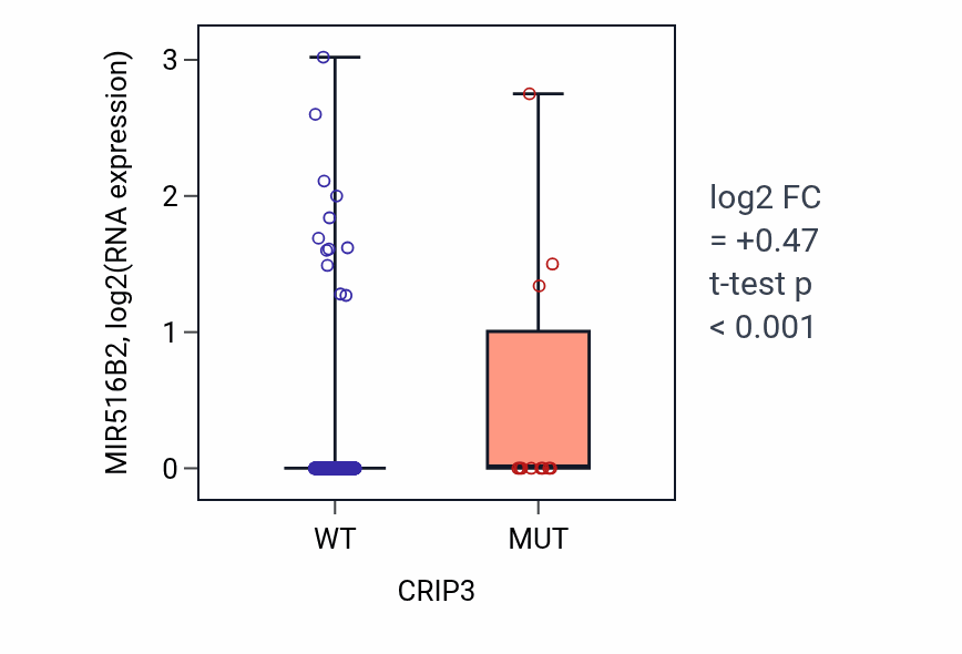 Box plot of MIR516B2 in CRIP3-low vs CRIP3-high samples in UCEC.