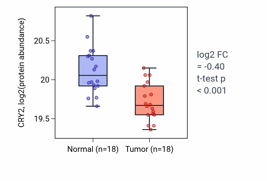 Tumor-vs-normal mass-spec protein box plot for CRY2 in LSCC.