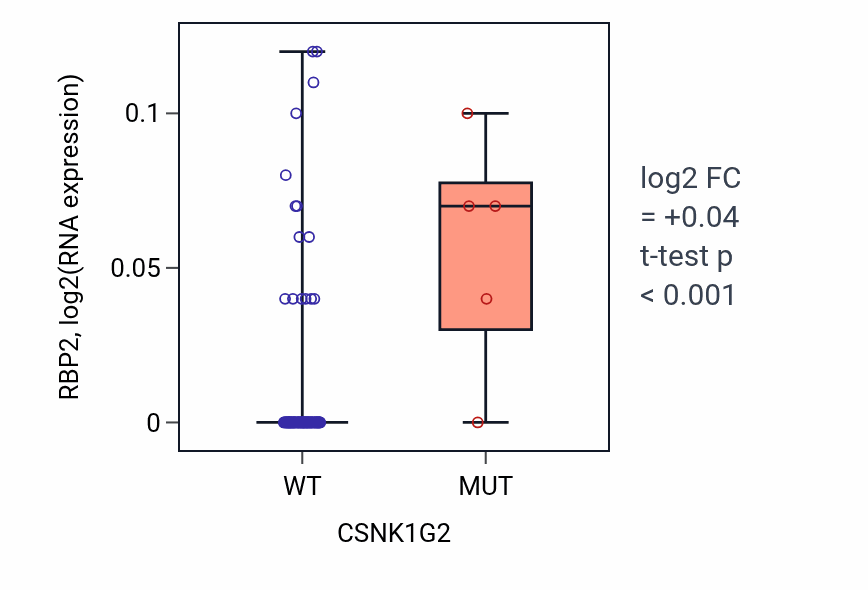 Box plot of RBP2 in CSNK1G2-low vs CSNK1G2-high samples in BLOOD_Leukemia.