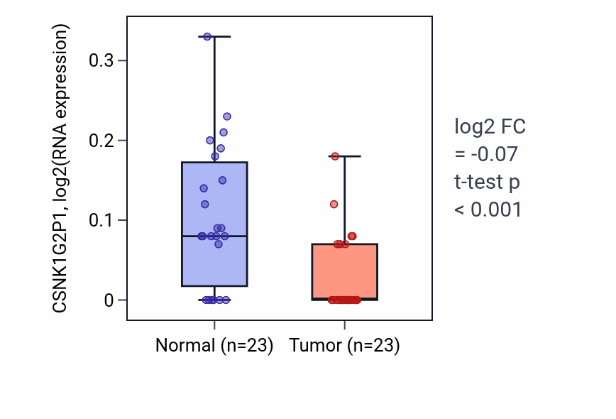Tumor-vs-normal expression box plot for CSNK1G2P1 in THCA.