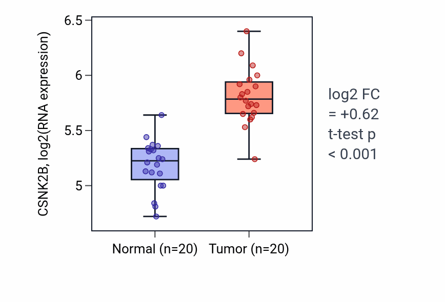 Tumor-vs-normal expression box plot for CSNK2B in KIRC.