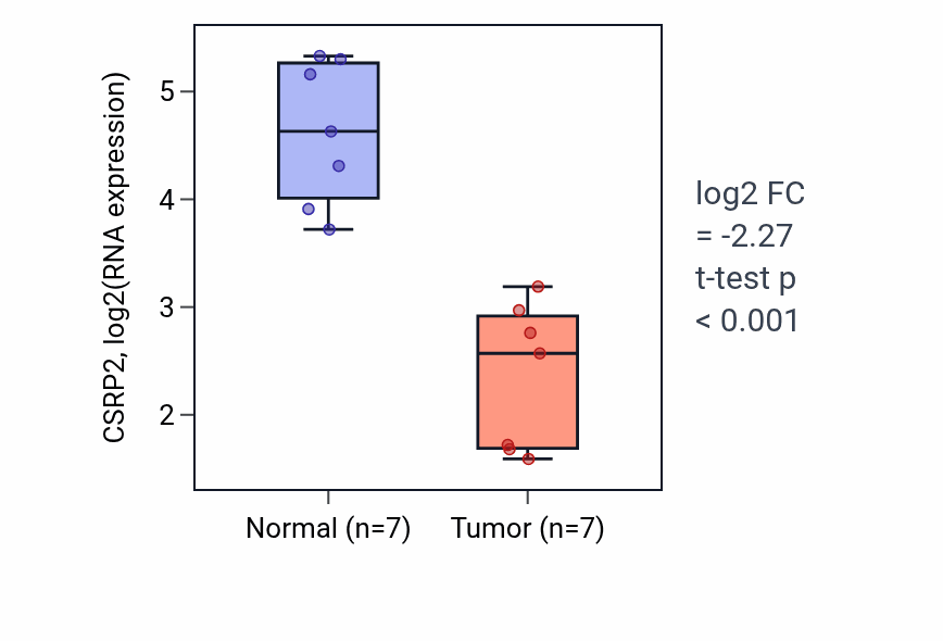Tumor-vs-normal expression box plot for CSRP2 in KICH.