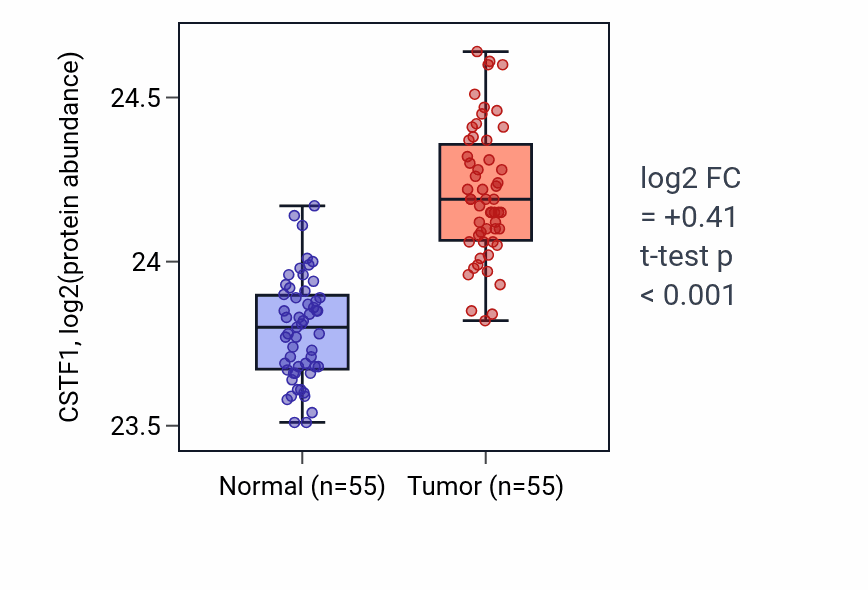 Tumor-vs-normal mass-spec protein box plot for CSTF1 in COAD.