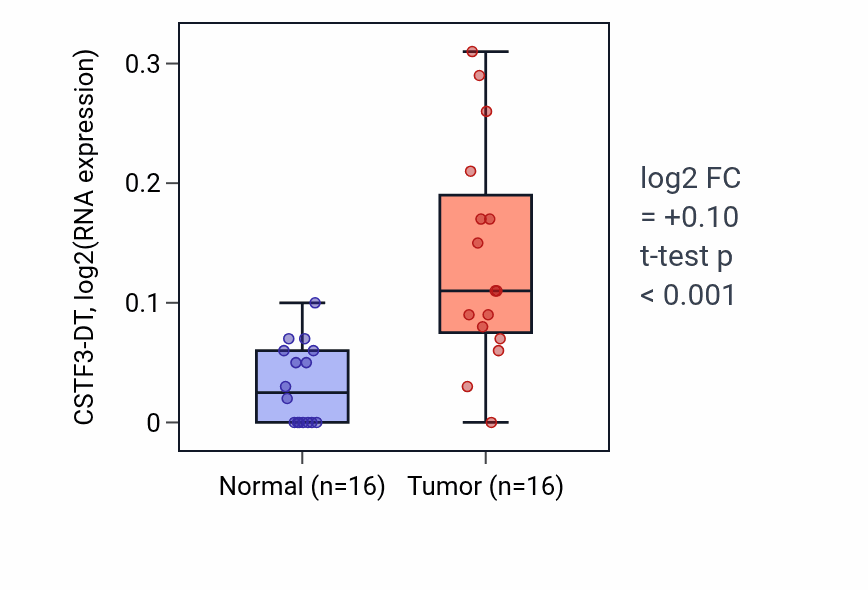 Tumor-vs-normal expression box plot for CSTF3-DT RNA in KIRP.