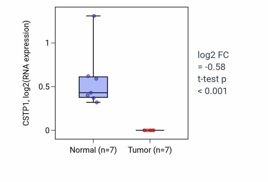 Tumor-vs-normal expression box plot for CSTP1 in LUSC.