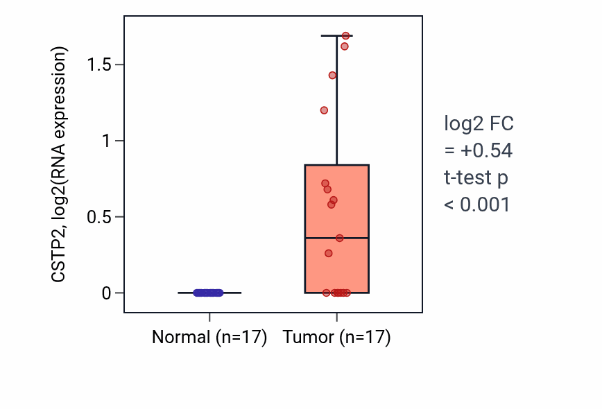Tumor-vs-normal expression box plot for CSTP2 in COAD.