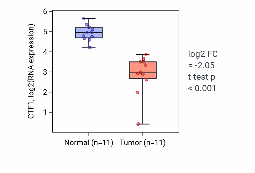Tumor-vs-normal expression box plot for CTF1 in KICH.