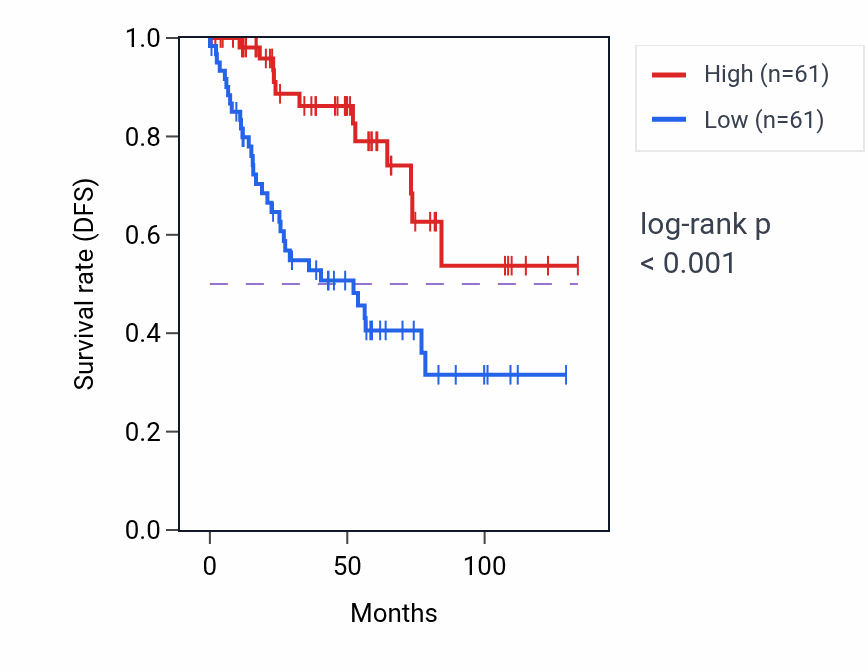 Kaplan&ndash;Meier survival curve for CTPS2 RNA expression in KIRC: high vs low expression groups.