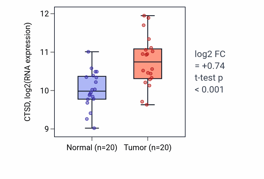 Tumor-vs-normal expression box plot for CTSD in KIRC.