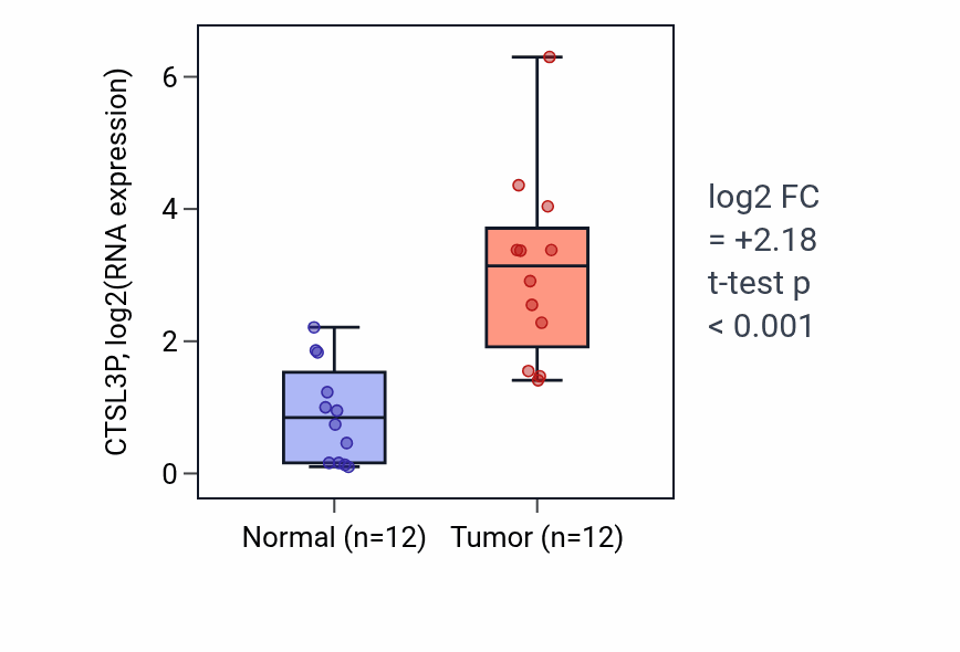 Tumor-vs-normal expression box plot for CTSL3P in KIRC.
