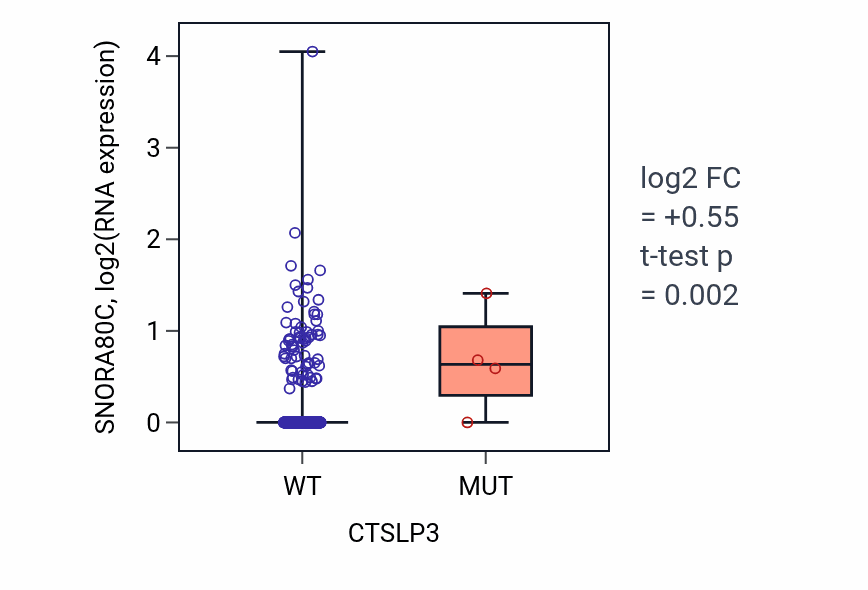 Box plot of SNORA80C in CTSLP3-low vs CTSLP3-high samples in UCEC.