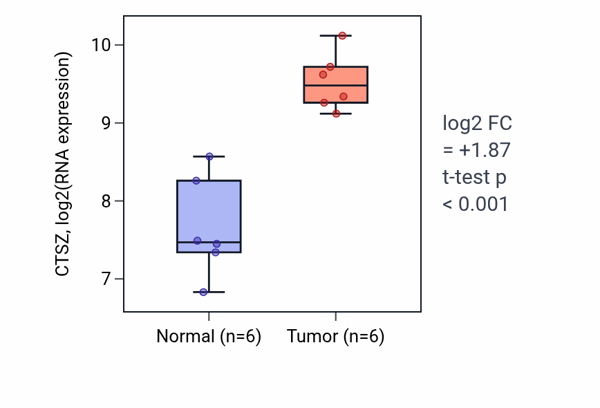 Tumor-vs-normal expression box plot for CTSZ in KIRC.