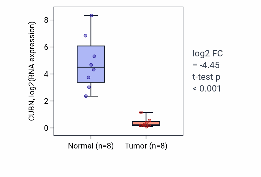 Tumor-vs-normal expression box plot for CUBN in KICH.