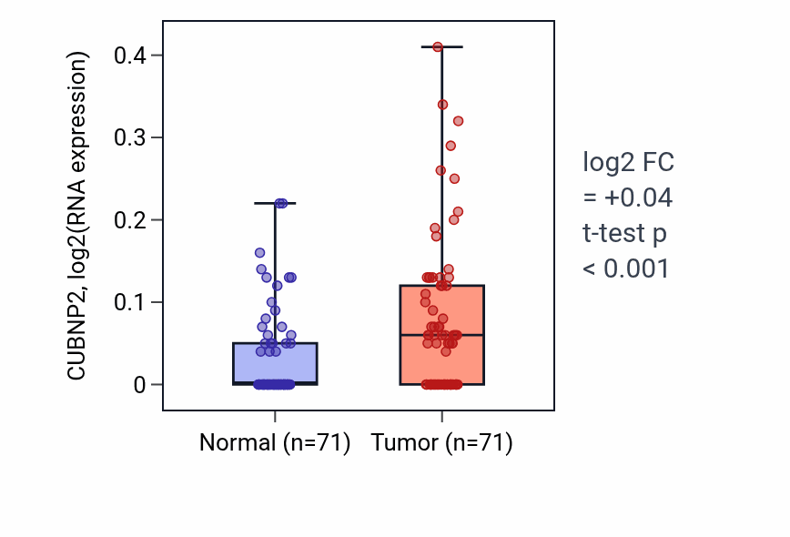 Tumor-vs-normal expression box plot for CUBNP2 in KIRC.