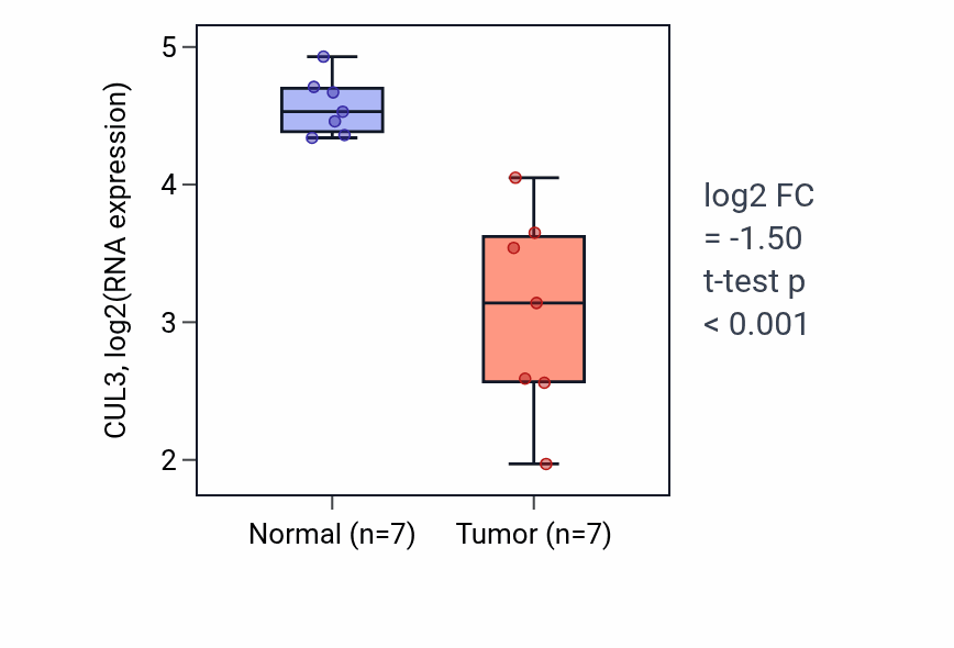 Tumor-vs-normal expression box plot for CUL3 in KICH.