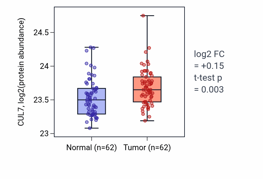 Tumor-vs-normal mass-spec protein box plot for CUL7 in HNSC.