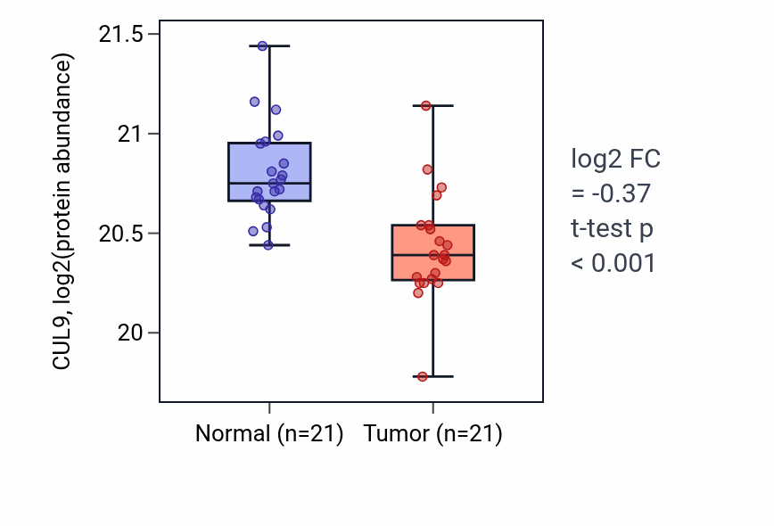 Tumor-vs-normal mass-spec protein box plot for CUL9 in HNSC.