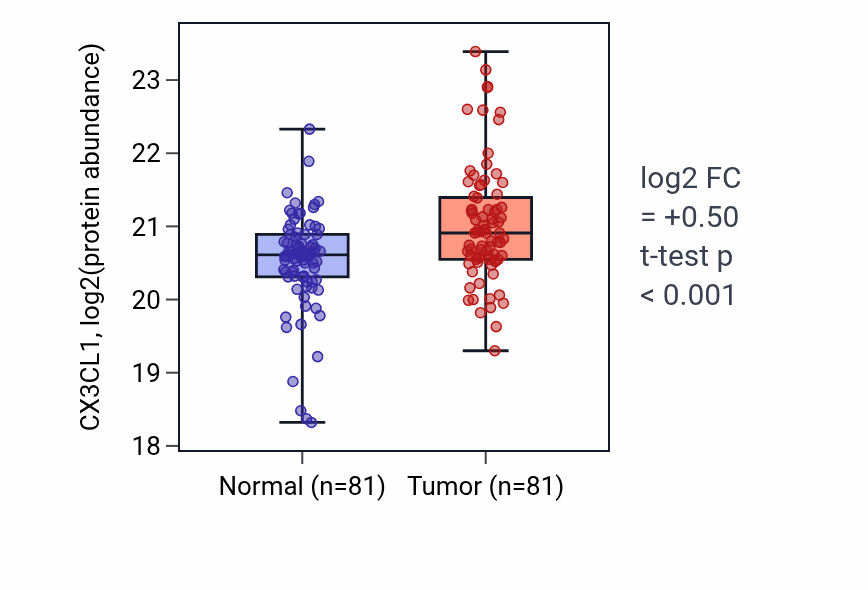 Tumor-vs-normal mass-spec protein box plot for CX3CL1 in LSCC.