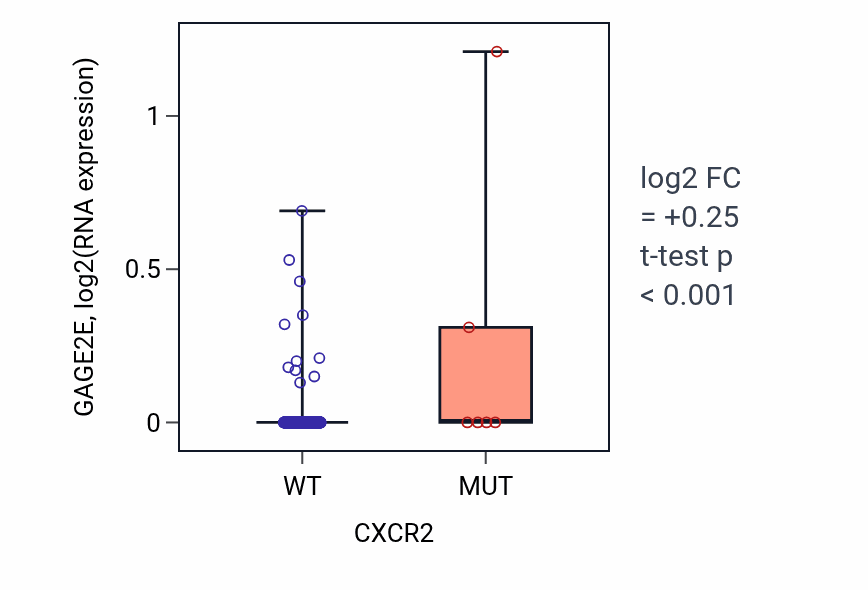 Box plot of GAGE2E in CXCR2-low vs CXCR2-high samples in LUAD.