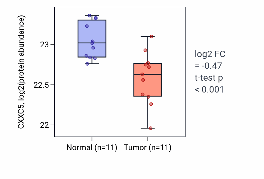 Tumor-vs-normal mass-spec protein box plot for CXXC5 in CCRCC.