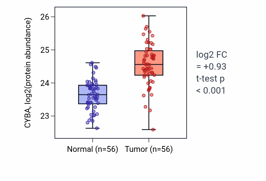 Tumor-vs-normal mass-spec protein box plot for CYBA in HNSC.