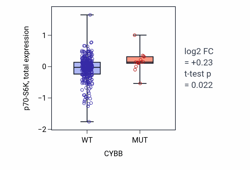 Box plot of p70-S6K in CYBB-low vs CYBB-high samples in LUSC.