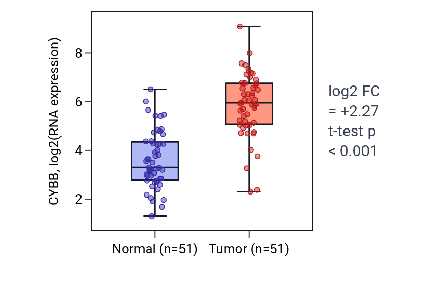 Tumor-vs-normal expression box plot for CYBB in KIRC.