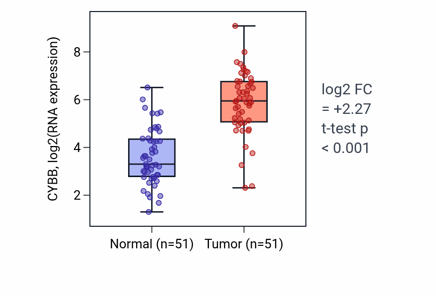 Tumor-vs-normal expression box plot for CYBB RNA in KIRC.