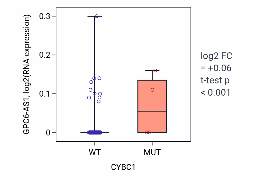 Box plot of GPC6-AS1 in CYBC1-low vs CYBC1-high samples in CESC.
