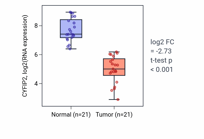 Tumor-vs-normal expression box plot for CYFIP2 in KIRP.