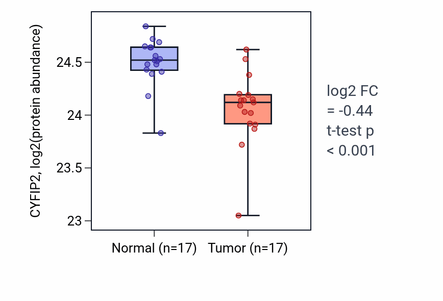 Tumor-vs-normal mass-spec protein box plot for CYFIP2 in CCRCC.