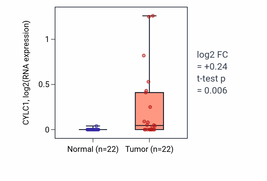 Tumor-vs-normal expression box plot for CYLC1 in KICH.