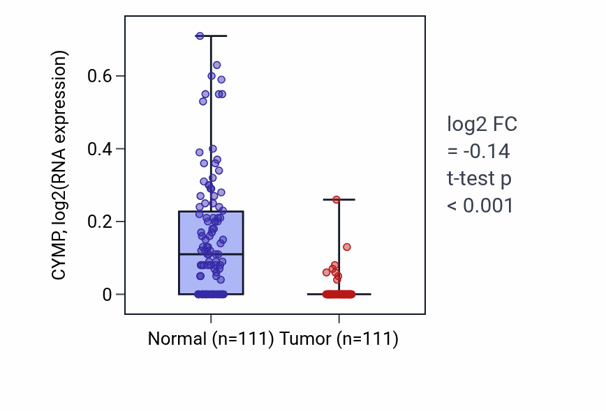Tumor-vs-normal expression box plot for CYMP in BRCA.