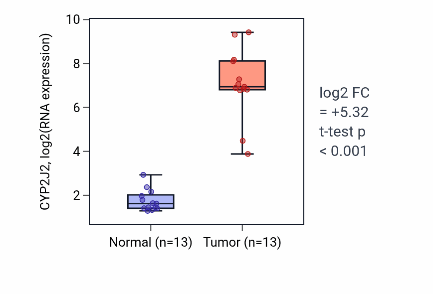Tumor-vs-normal expression box plot for CYP2J2 in KIRC.