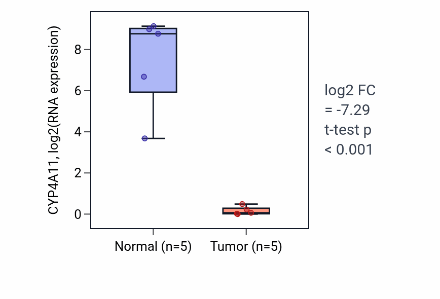 Tumor-vs-normal expression box plot for CYP4A11 in KIRP.